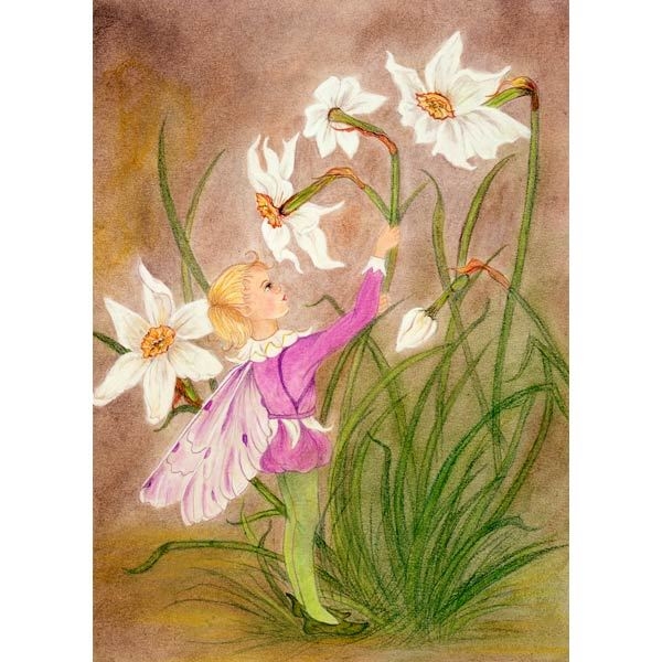Narcissus Fairy - 5 x 7 Print