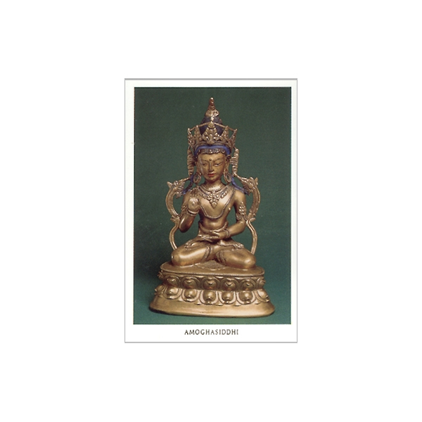 Picture of Amoghasiddhi (laminated) wallet card