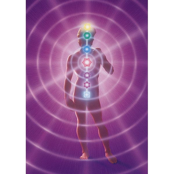 Picture of Seven Chakras - 19 x 25 poster