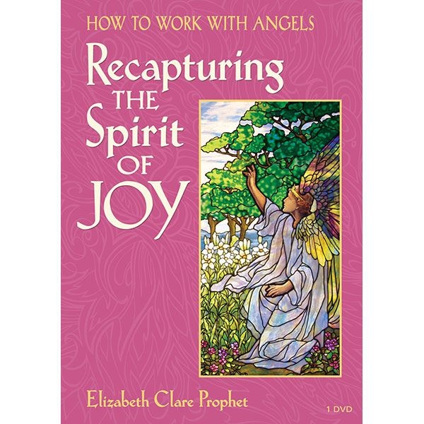 How to Work with Angels: Recapturing the Spirit of Joy - DVD