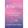 The Afterlife - What Really Happens in the Hereafter