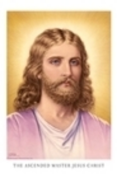 Picture of Jesus Christ Sindelar wallet card