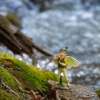 Picture of Fairy Boy, Green