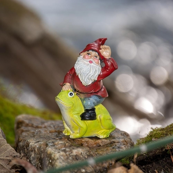 Picture of Gnome on a Frog
