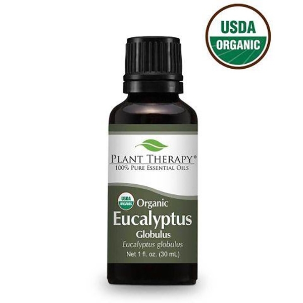 Picture of Eucalyptus Globulus Organic Essential Oil 