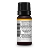 Picture of Immune Aid Synergy Organic Essential Oil 10 mL