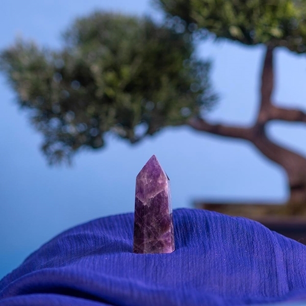Picture of Amethyst Points about 1"