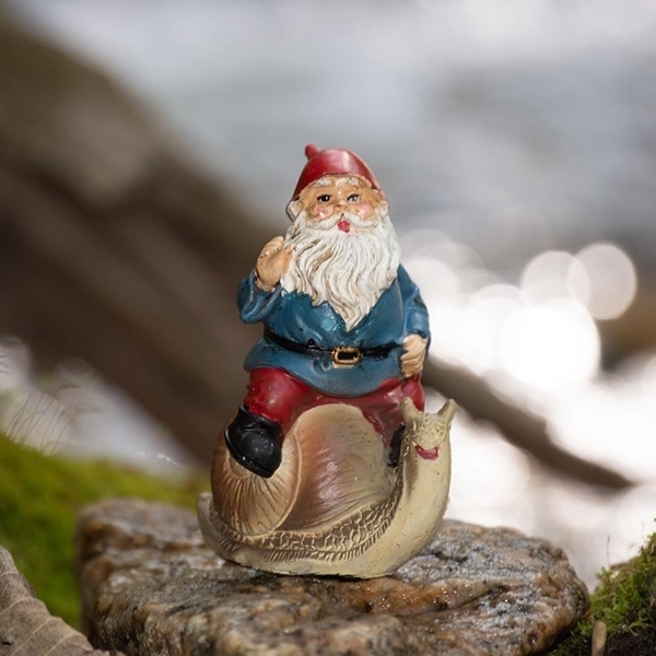 Picture of Gnome on Snail