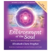 The Environment of the Soul Freedom Conference